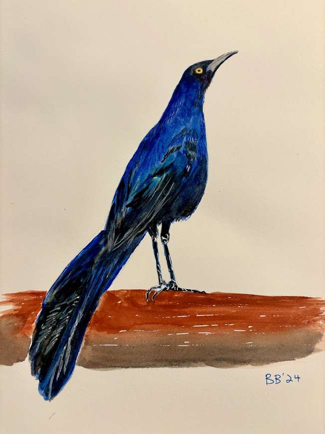 Grackle